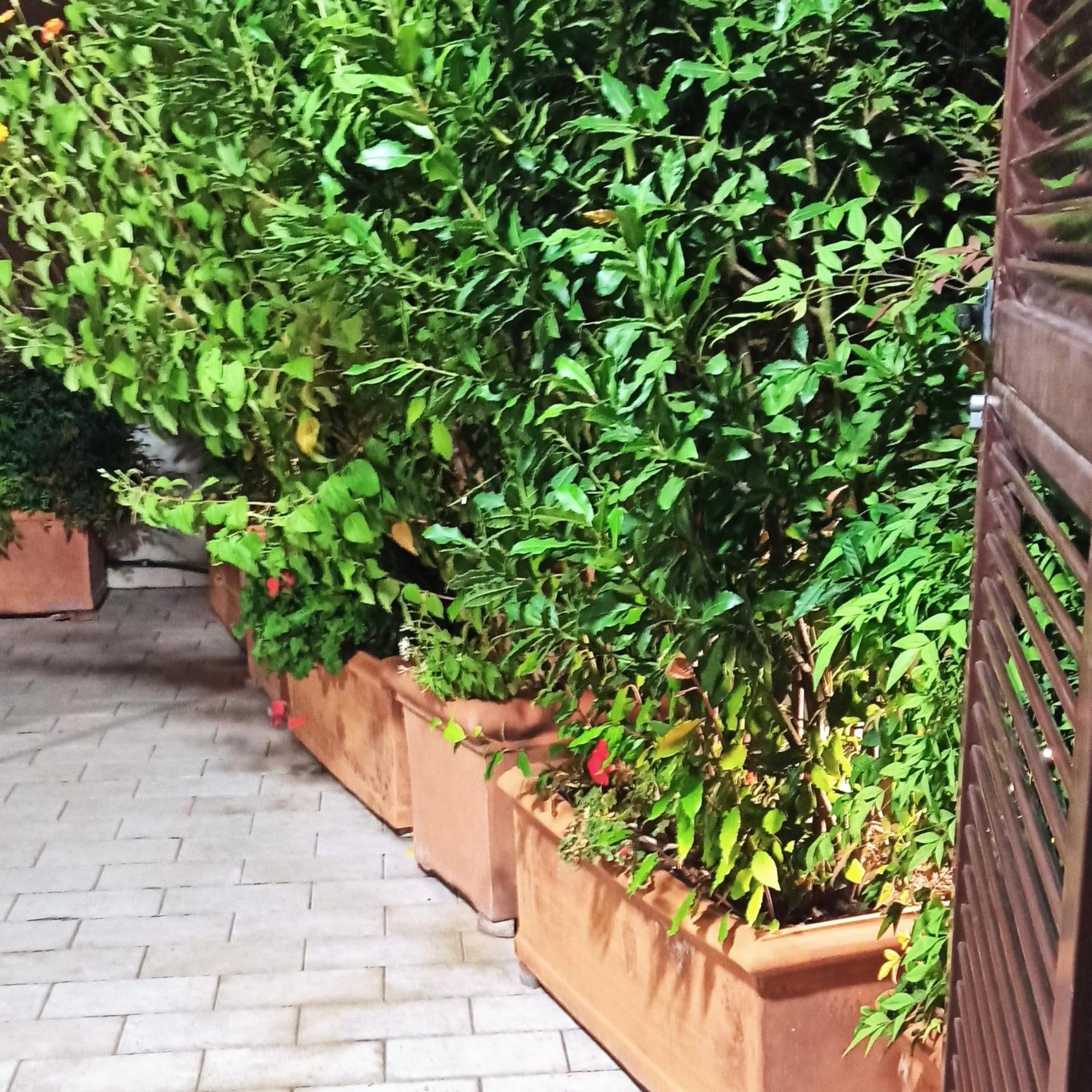 Living By Vatican With Panoramic Terraces In Rome Extérieur photo